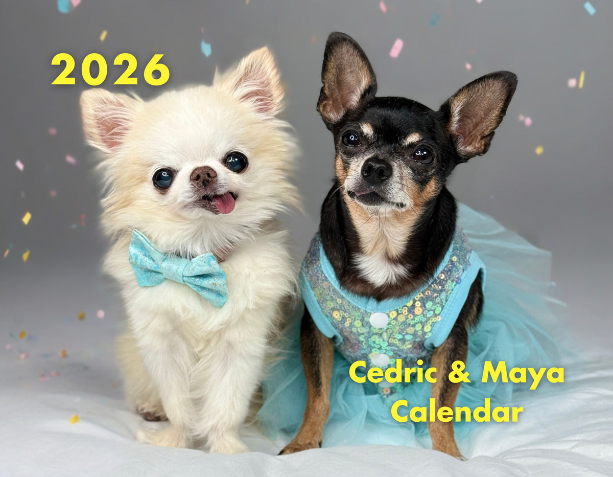 Dog Calendar product image 1