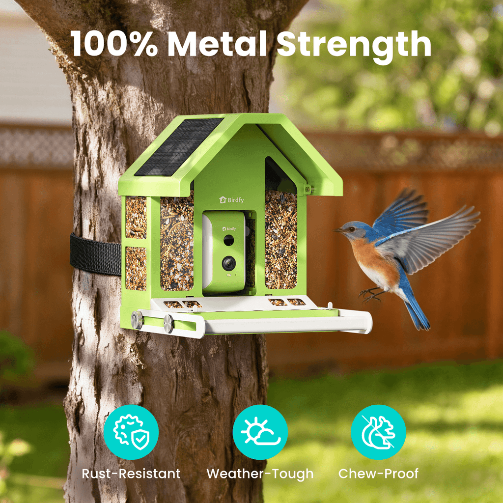 Smart Bird Feeder Camera product image 2