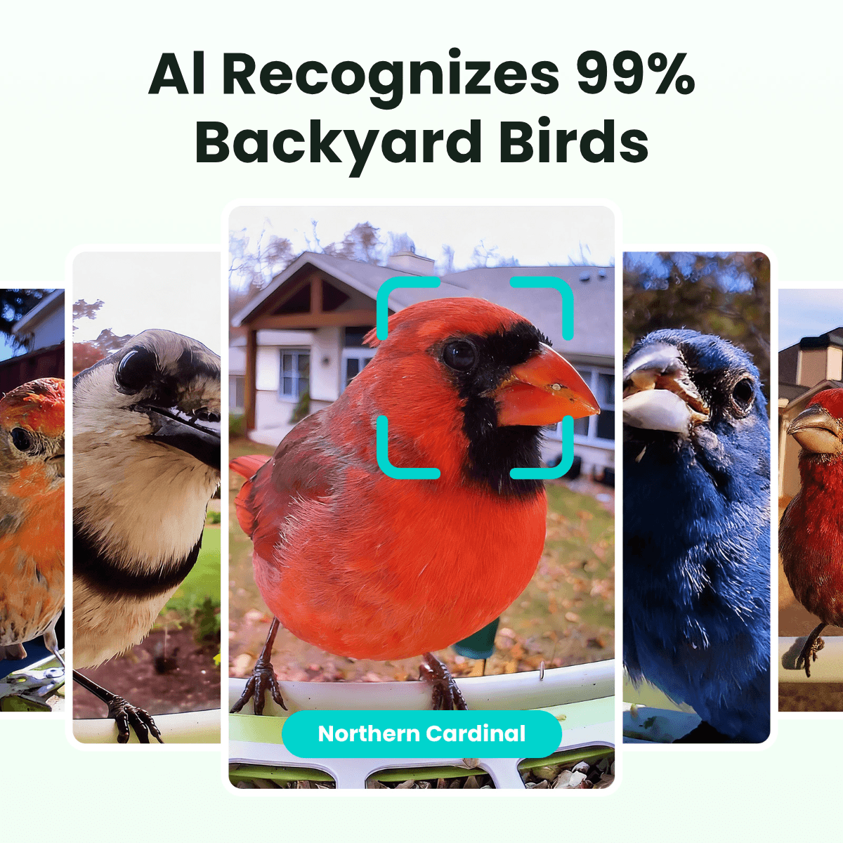 Smart Bird Feeder Camera product image 3