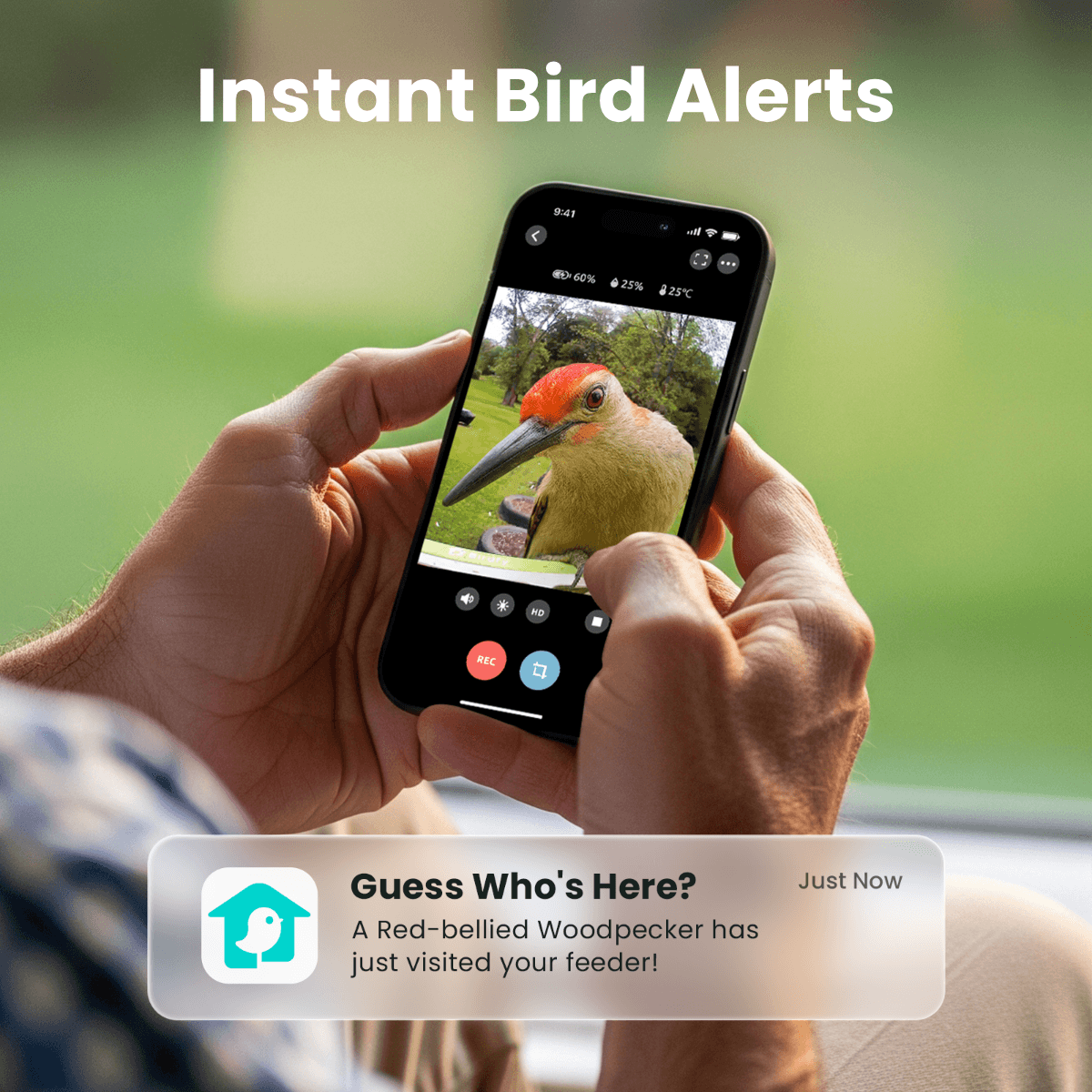 Smart Bird Feeder Camera product image 4