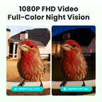 Smart Bird Feeder Camera product image 5