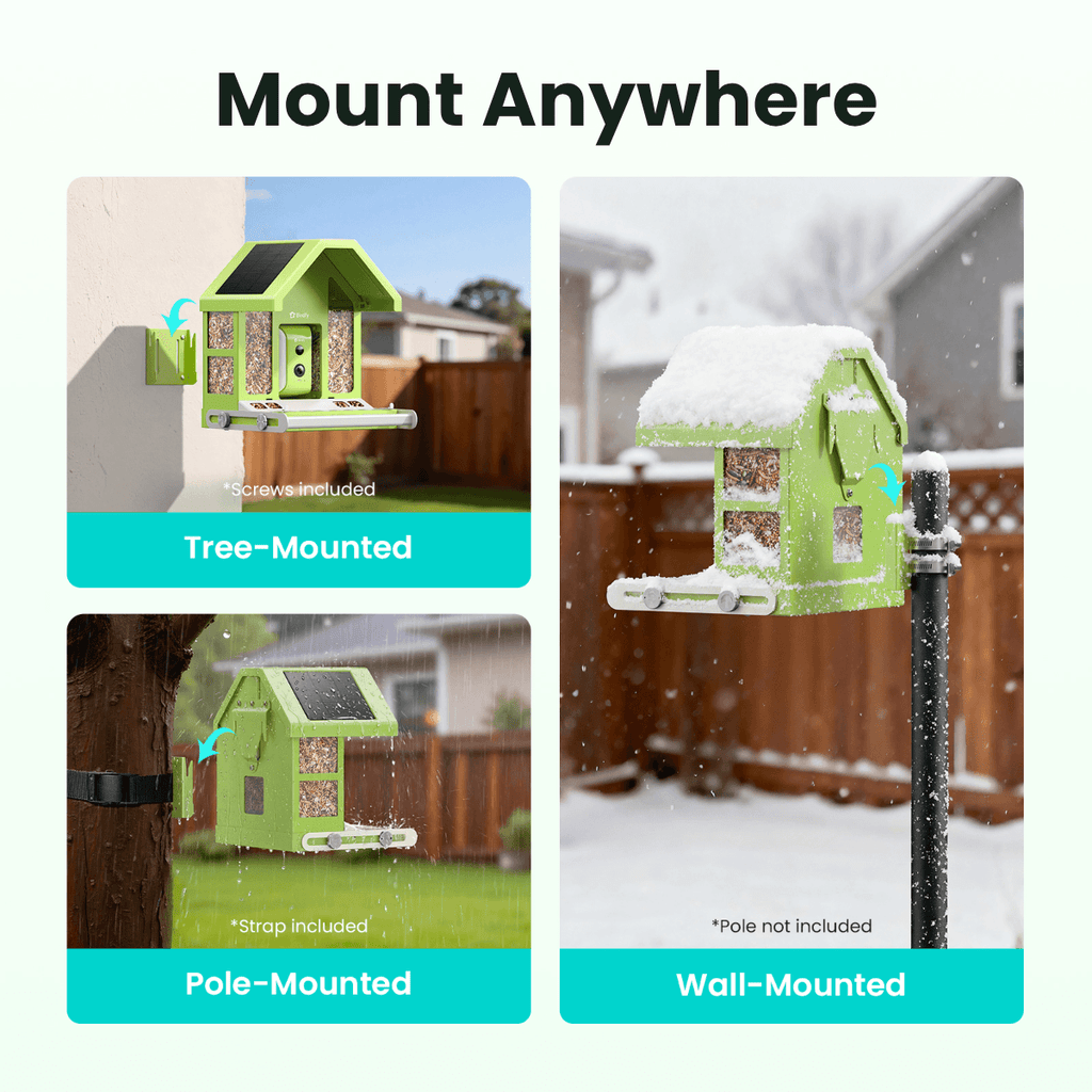 Smart Bird Feeder Camera product image 8