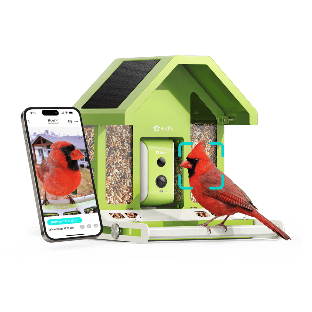 Smart Bird Feeder Camera product image 10