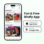 Smart Bird Feeder Camera product image 12
