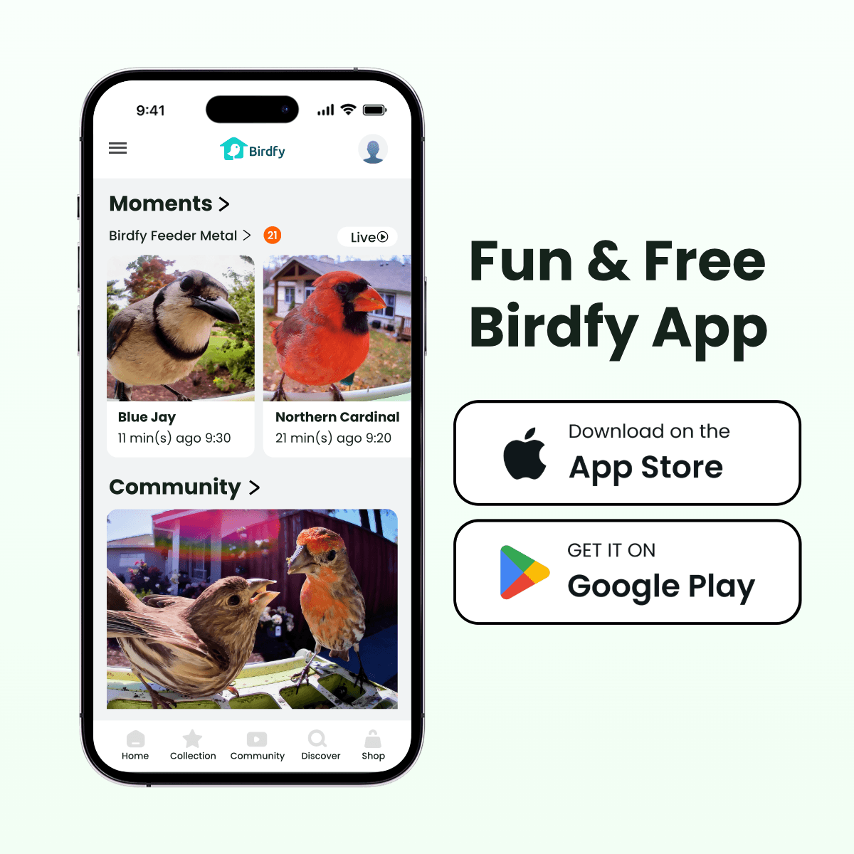 Smart Bird Feeder Camera product image 12