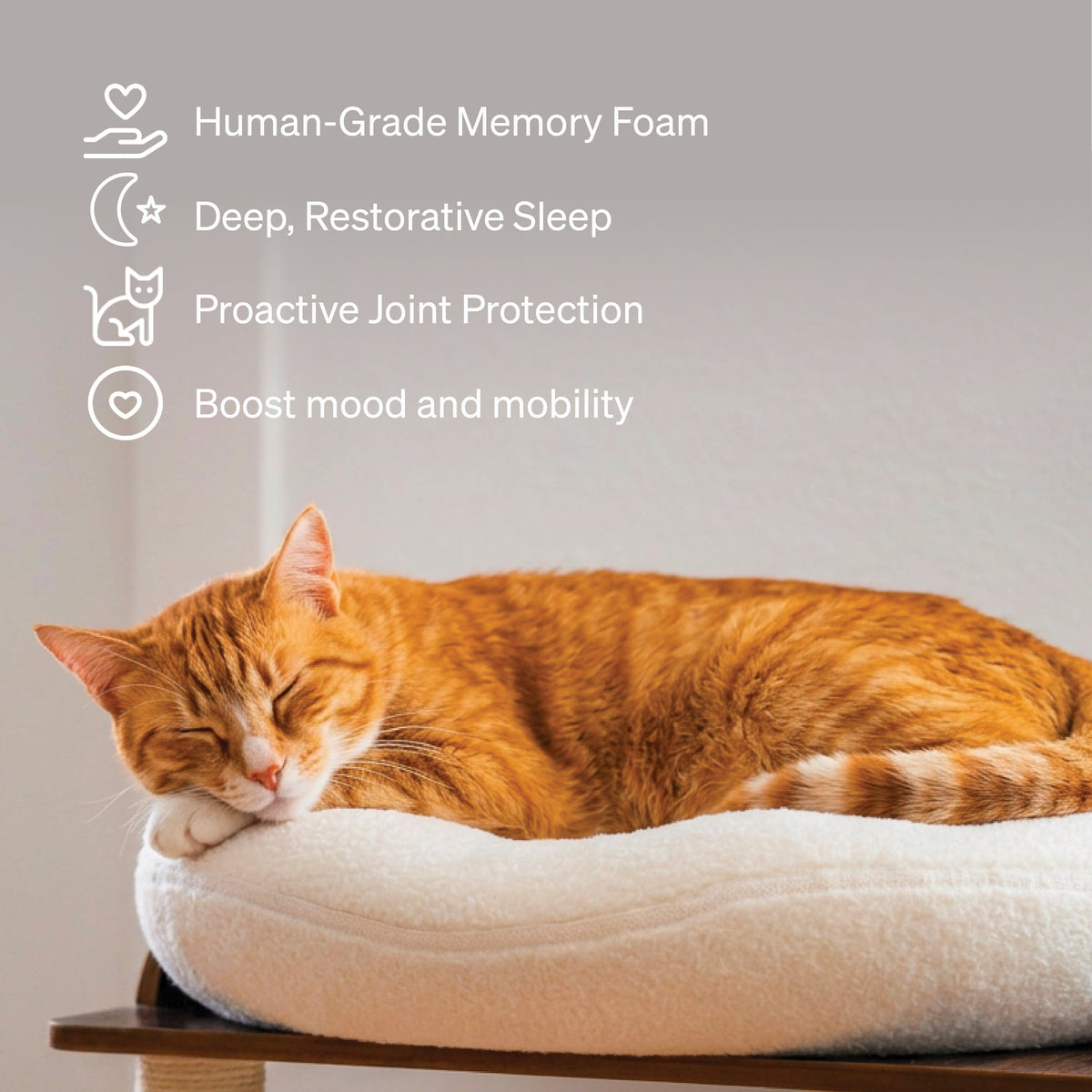 Orthopedic Cat Bed product image 2