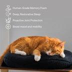 Orthopedic Cat Bed product image 7