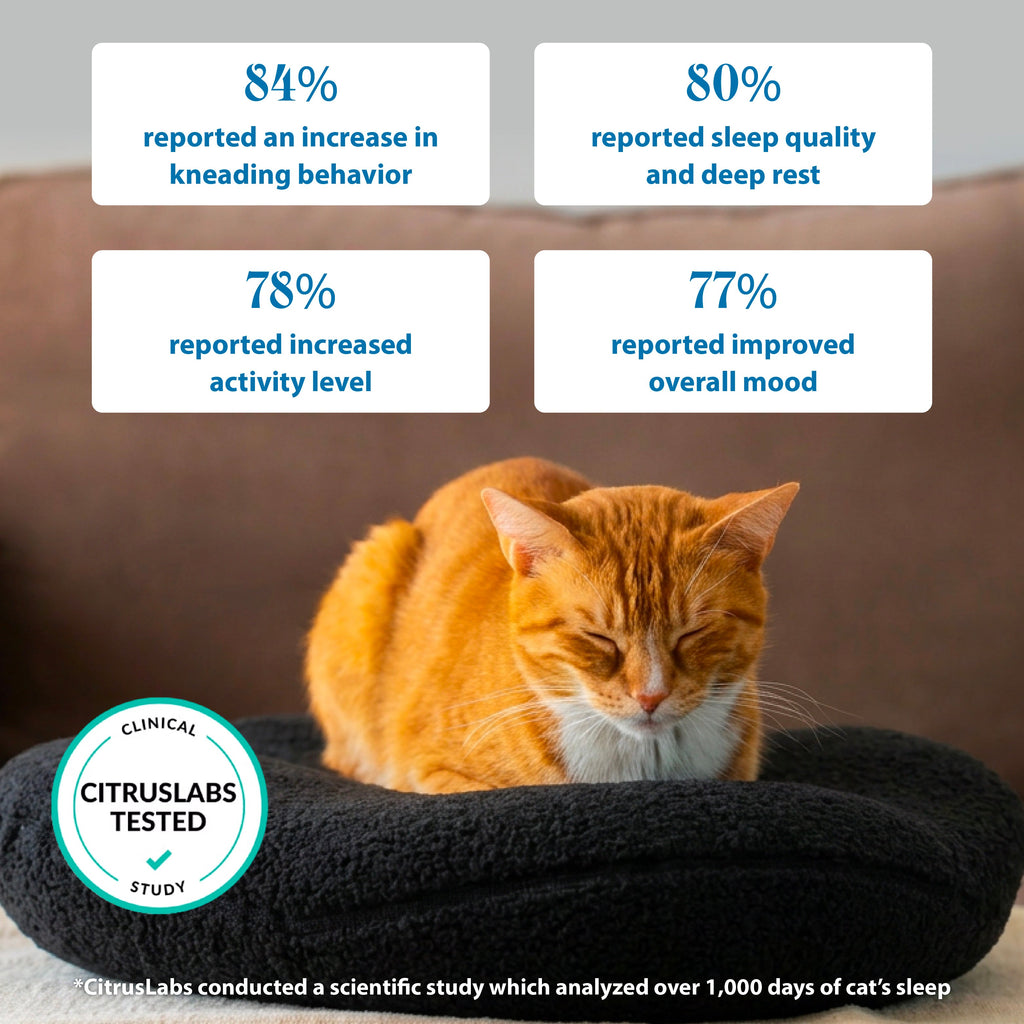 Orthopedic Cat Bed product image 8