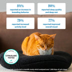 Orthopedic Cat Bed product image 8