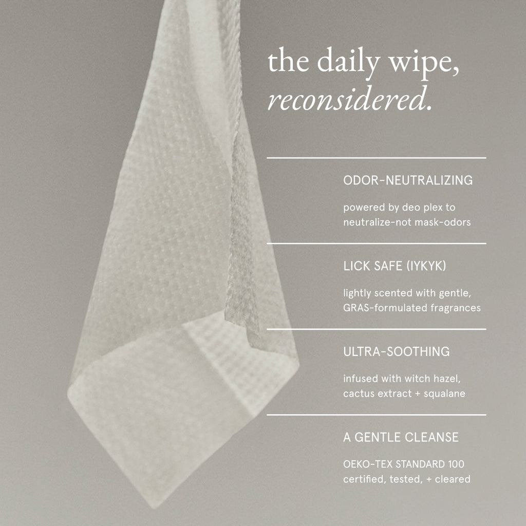 Deodorizing Dog Wipes product image 2