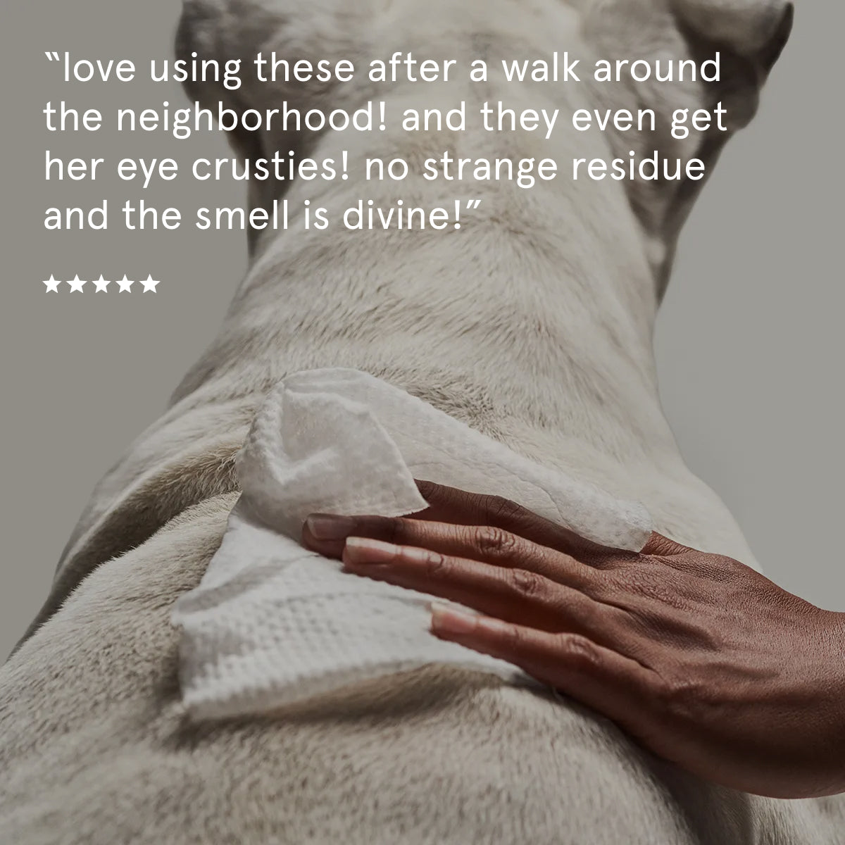 Deodorizing Dog Wipes product image 4