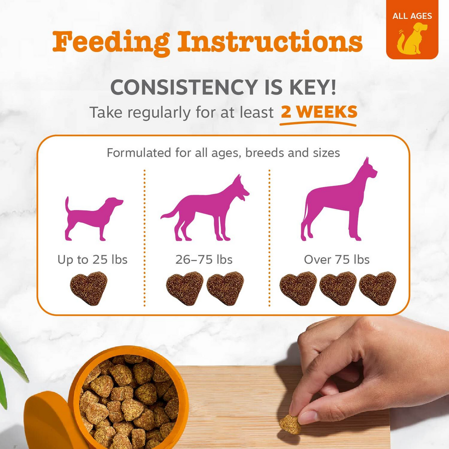 Dog Skin & Coat Soft Chews product image 3
