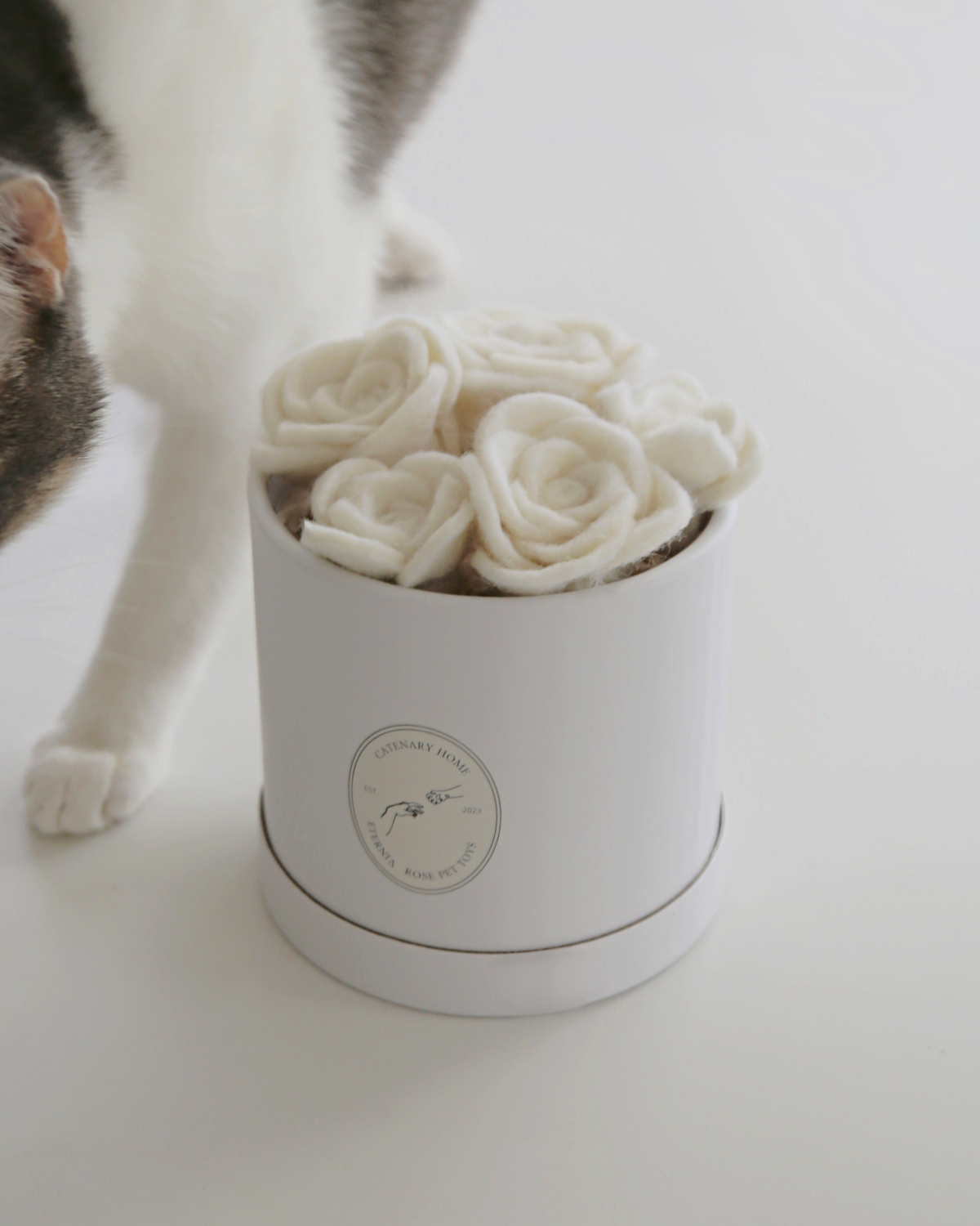 Cat Toy Set product image 1