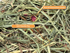 Timothy Hay Treat product image 3