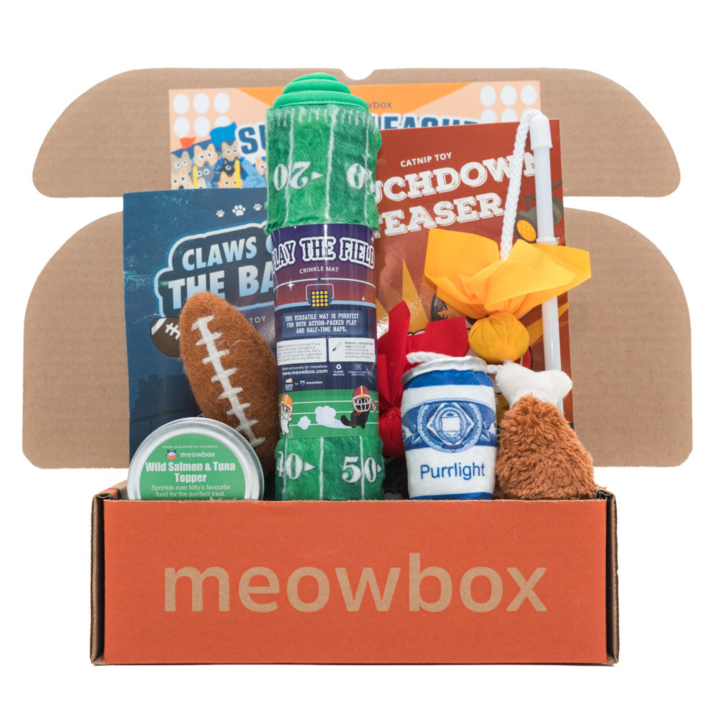 Cat Toy & Treat Box product image 1