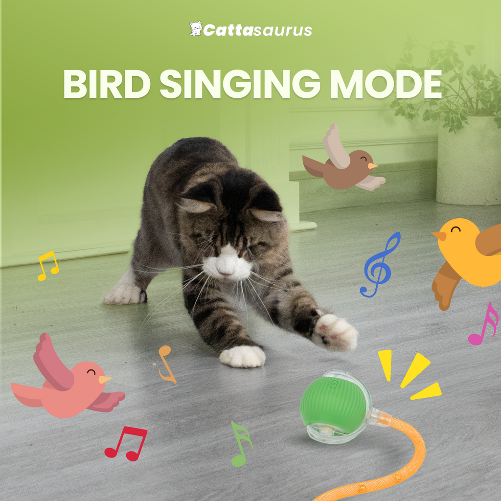 Self-Scrolling Cat Ball product image 5