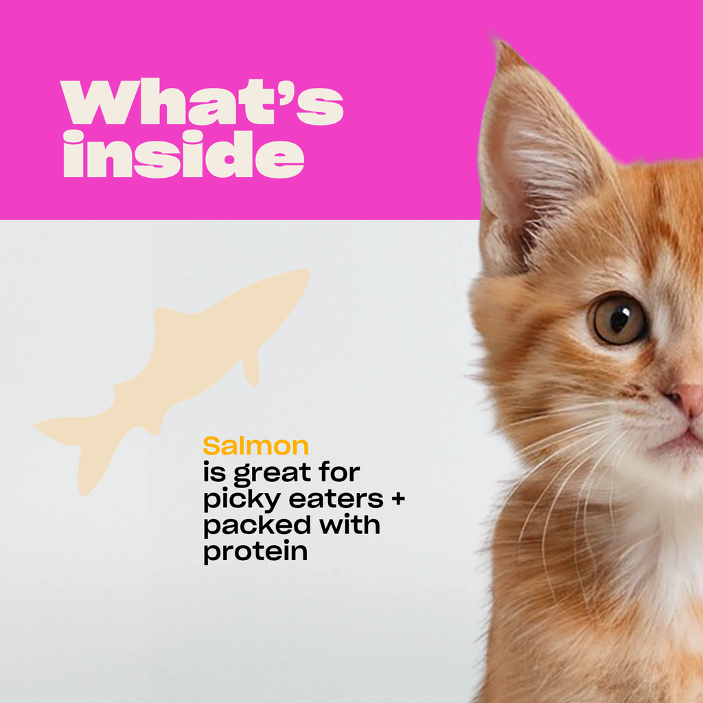 Freeze-Dried Cat Treats product image 2