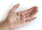 Small Animal Treats product image 6