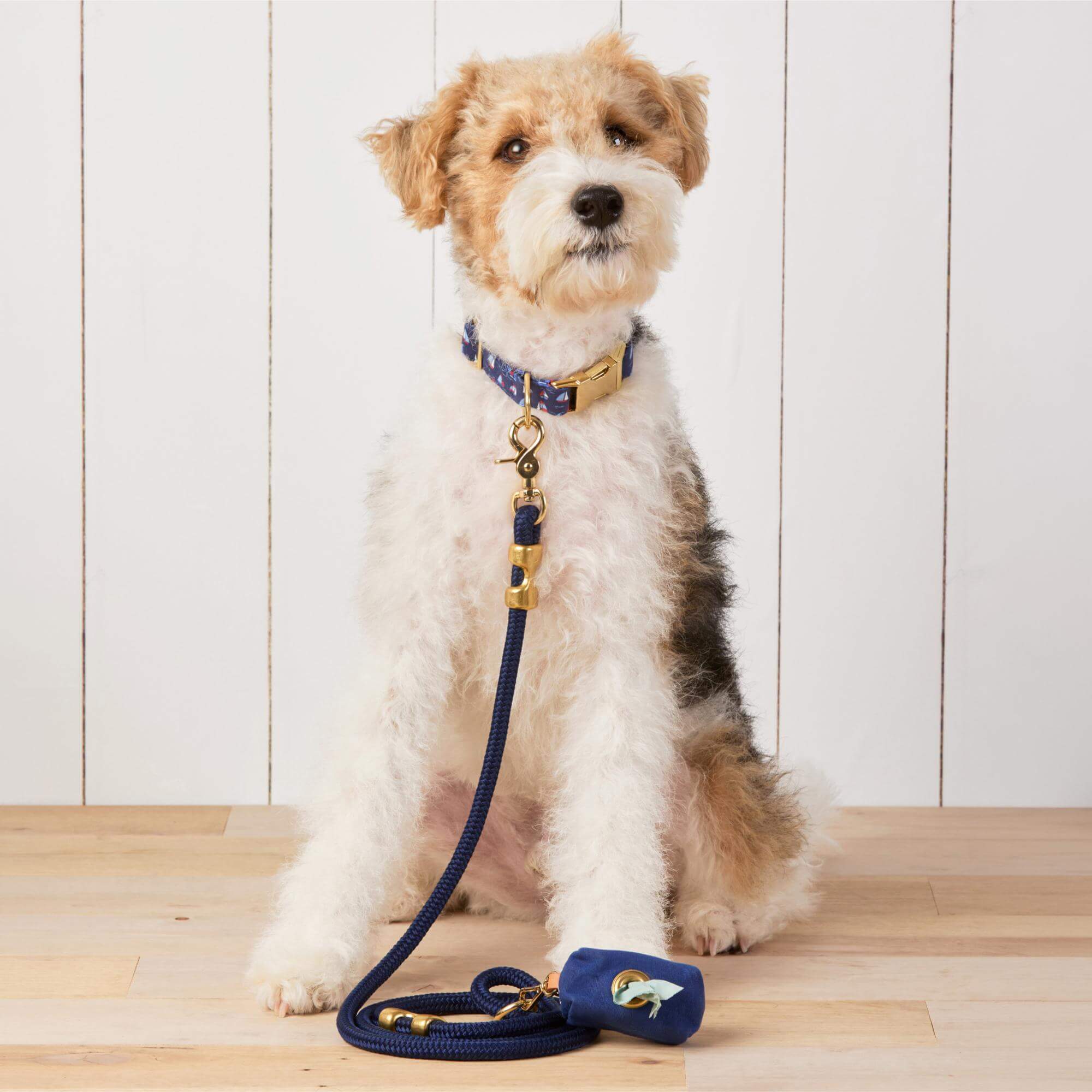 Double-Braided Nylon Rope Dog Leash product image 4