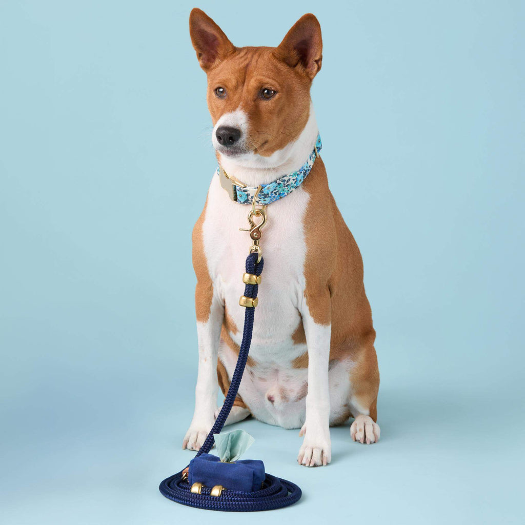 Double-Braided Nylon Rope Dog Leash product image 5