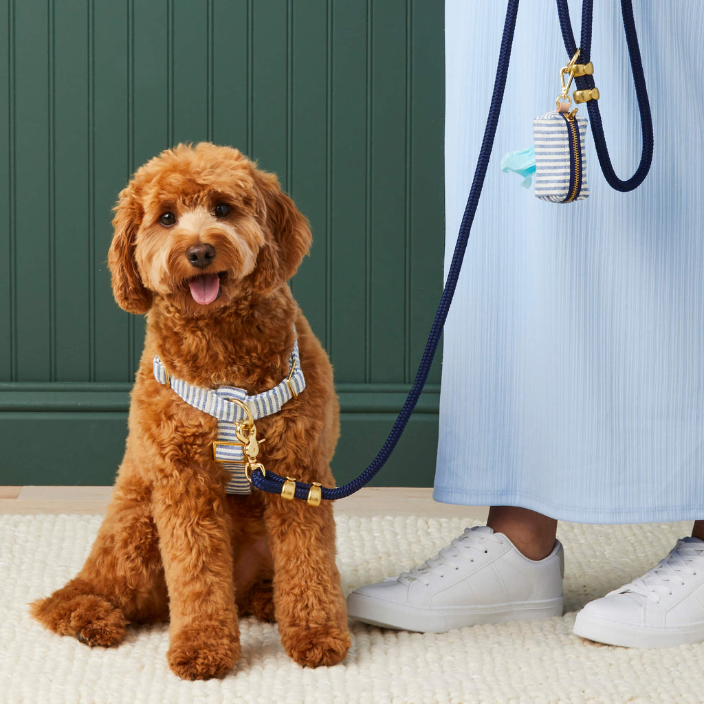 Double-Braided Nylon Rope Dog Leash product image 6