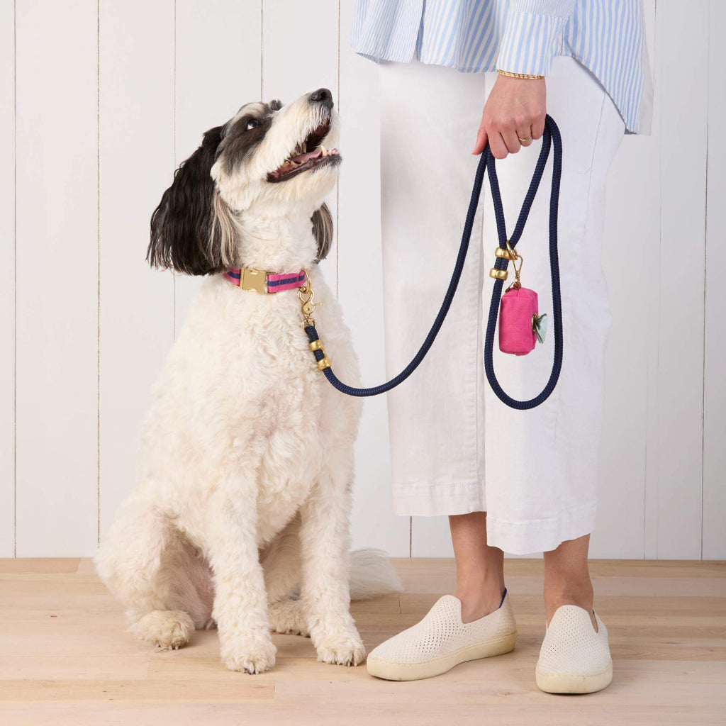 Double-Braided Nylon Rope Dog Leash product image 7