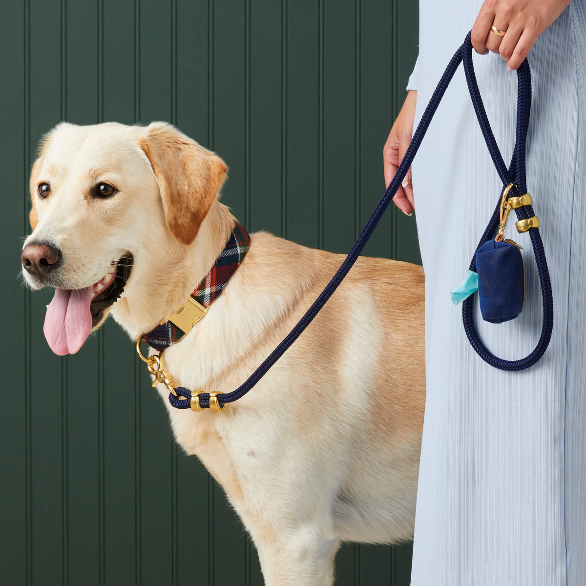 Double-Braided Nylon Rope Dog Leash product image 8
