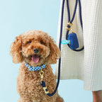 Double-Braided Nylon Rope Dog Leash product image 10