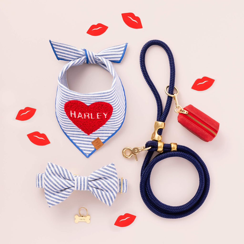Double-Braided Nylon Rope Dog Leash product image 11
