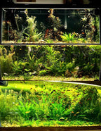 Liquid Aquarium Plant Fertilizer product image 5