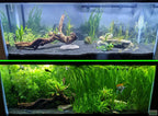 Liquid Aquarium Plant Fertilizer product image 8