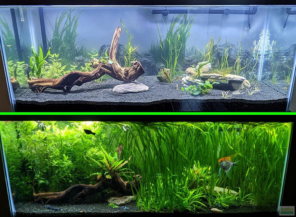 Liquid Aquarium Plant Fertilizer product image 8