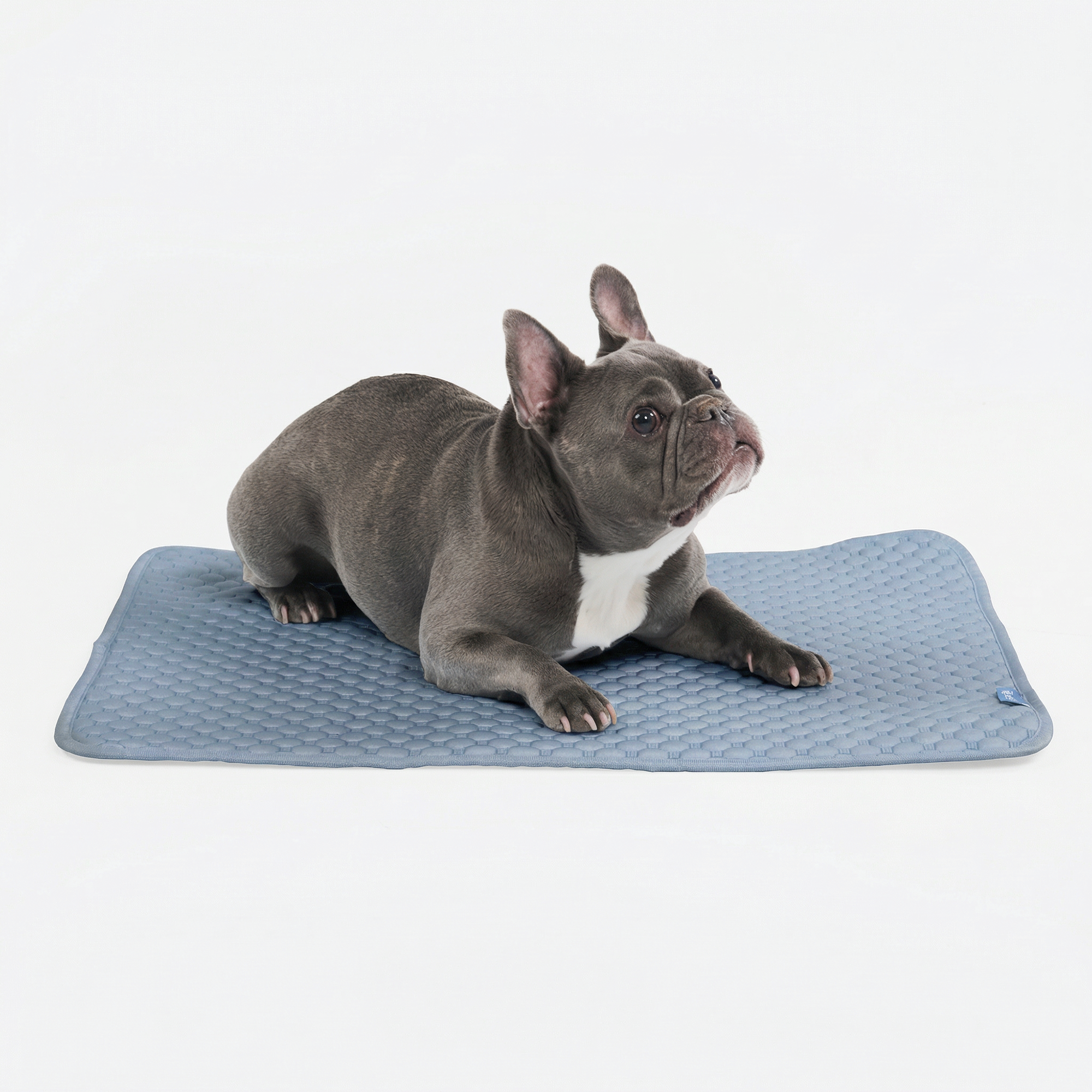 Dog Cooling Mat product image 2