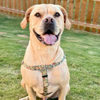 No-Pull Dog Harness product image 5