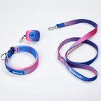 Martingale Dog Collar Set product image 1