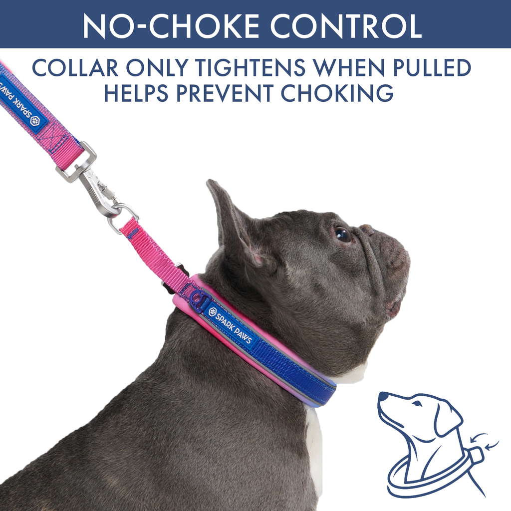 Martingale Dog Collar Set product image 2