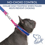 Martingale Dog Collar Set product image 2