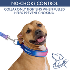 Martingale Dog Collar Set product image 3