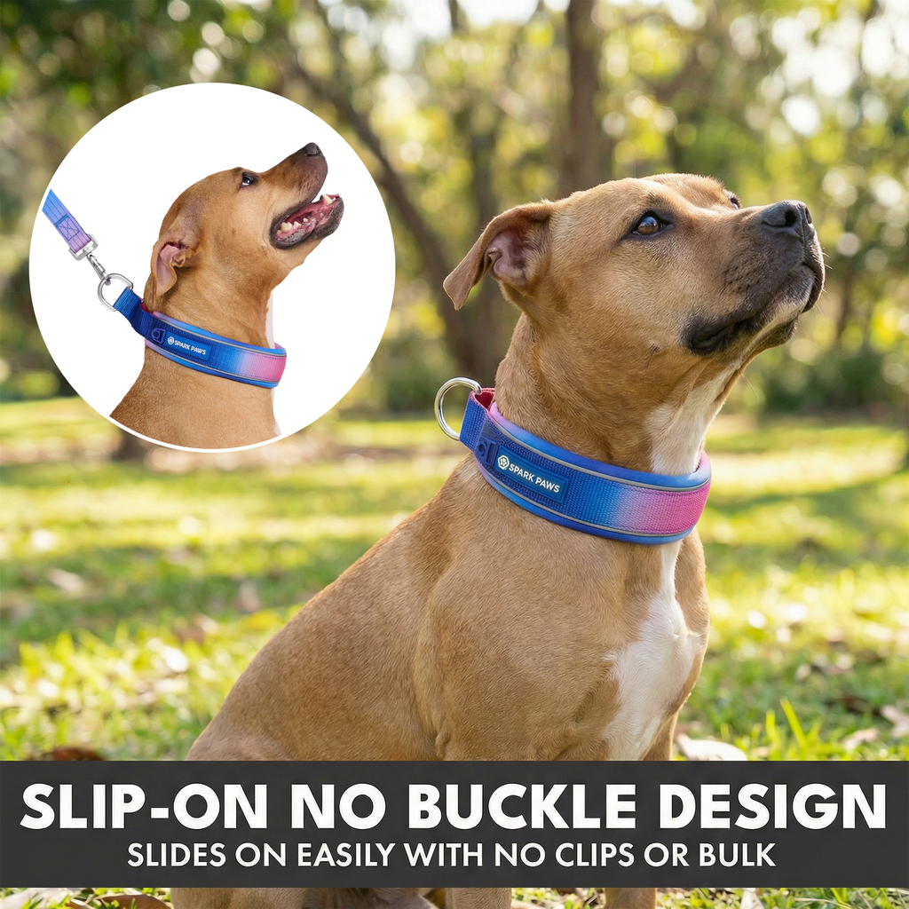 Martingale Dog Collar Set product image 5