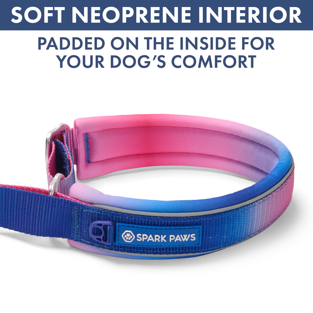 Martingale Dog Collar Set product image 6