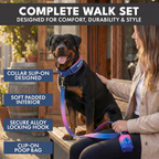 Martingale Dog Collar Set product image 7