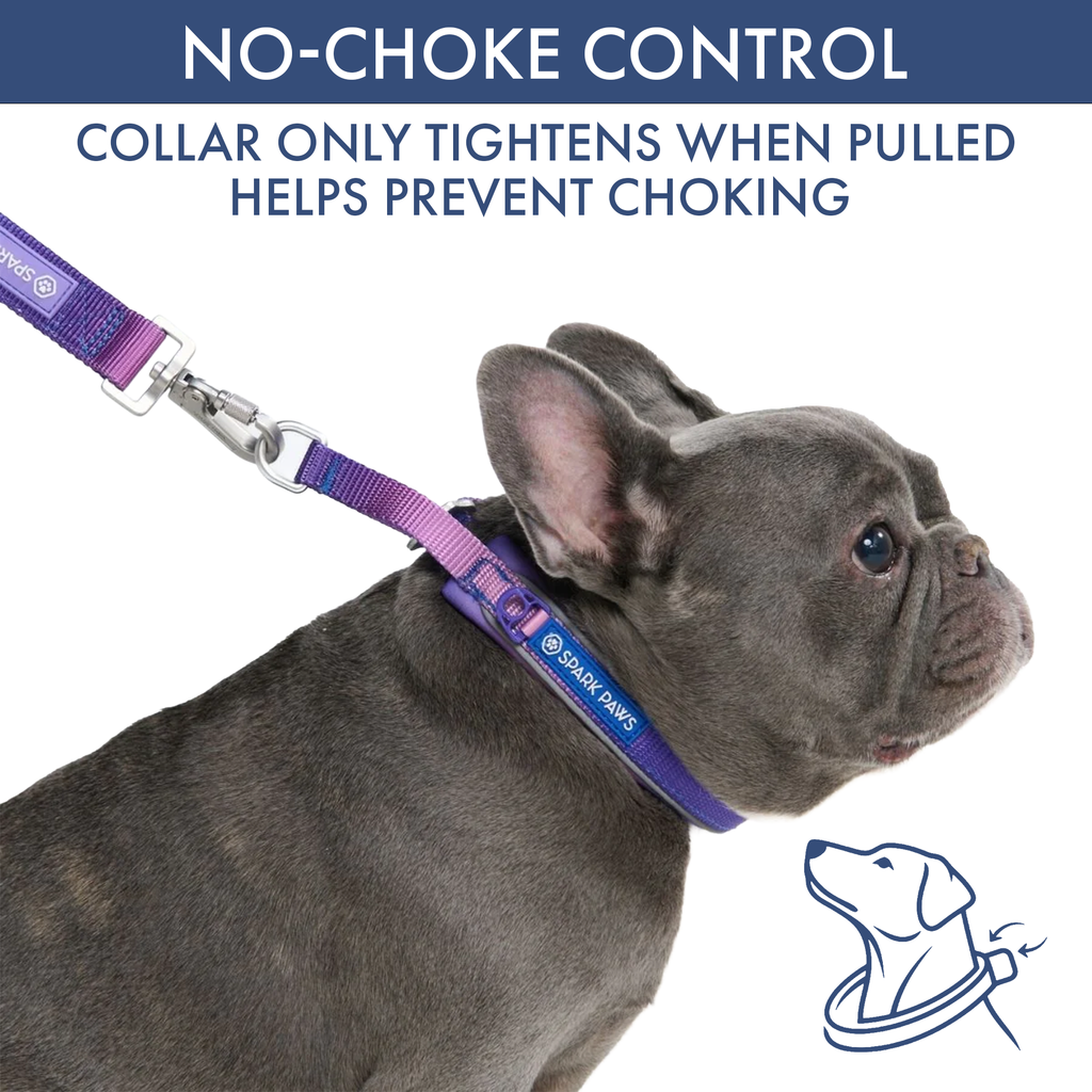 Martingale Dog Collar Set product image 12