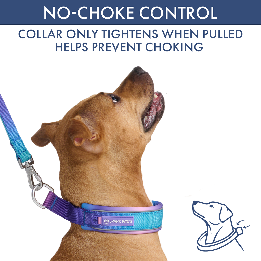 Martingale Dog Collar Set product image 13