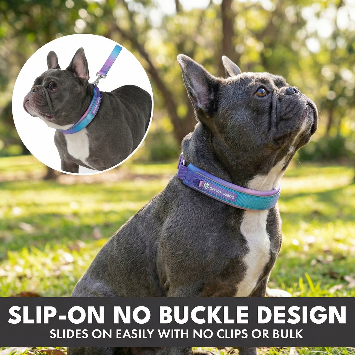 Martingale Dog Collar Set product image 14