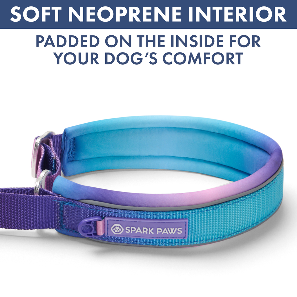 Martingale Dog Collar Set product image 16