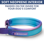 Martingale Dog Collar Set product image 16
