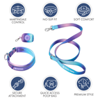 Martingale Dog Collar Set product image 18