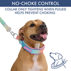 Martingale Dog Collar Set product image 22
