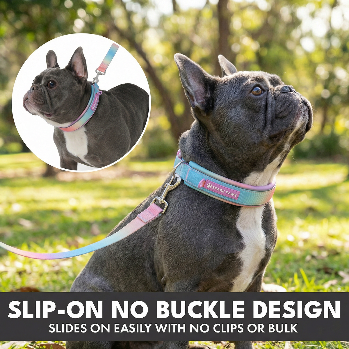 Martingale Dog Collar Set product image 23