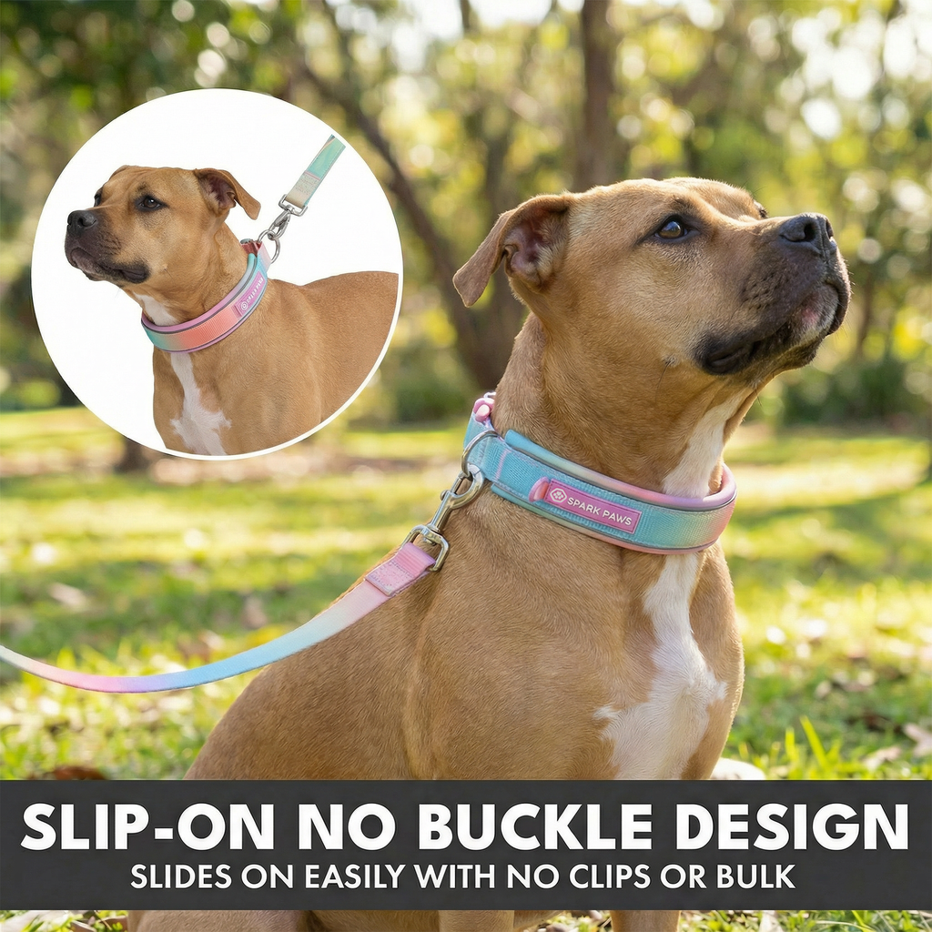 Martingale Dog Collar Set product image 24